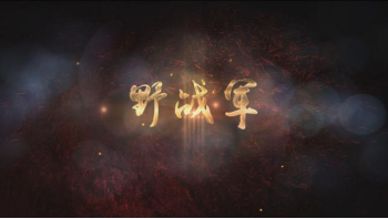 第二集野戰軍